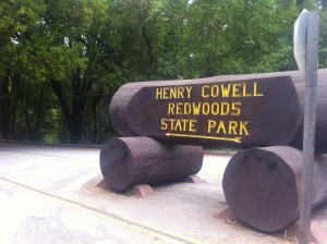 Henry Cowell Redwoods State Park