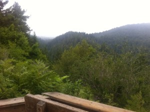 View from the turnaround