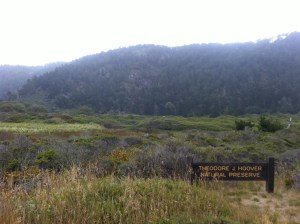 Waddell Creek