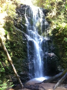 Berry Creek Falls